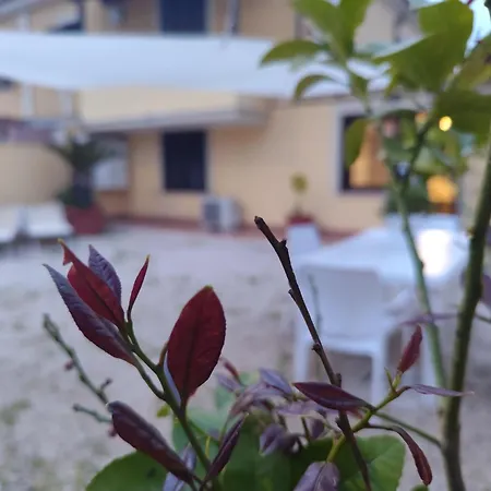 Appartamento Valderoa 116 Fiumicino Exterior photo